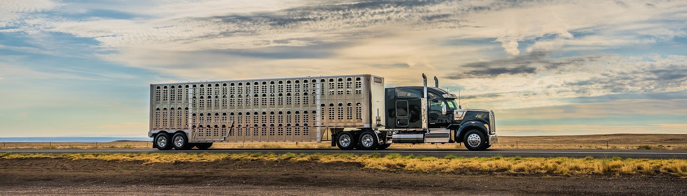 Kenworth W990