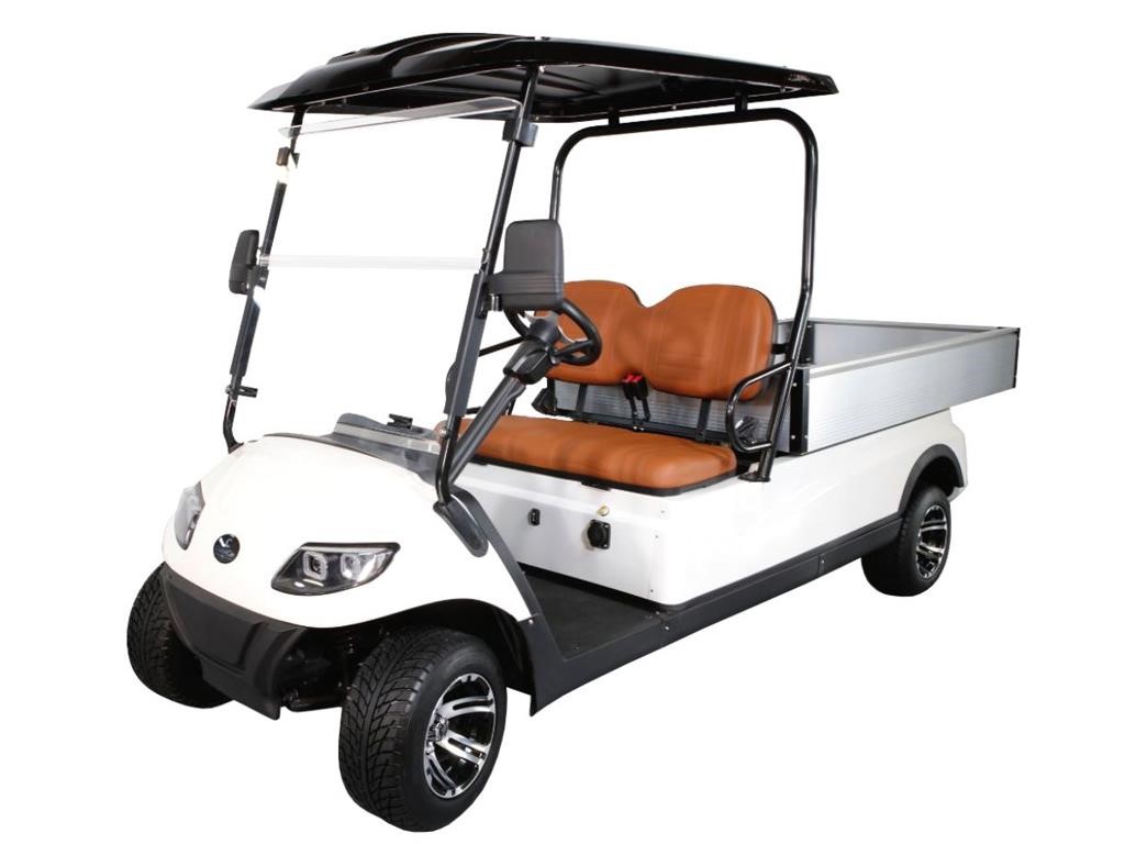 Icon C20U