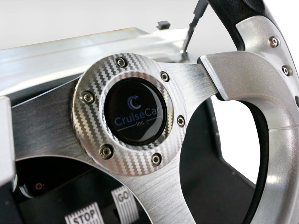 Icon C20V
