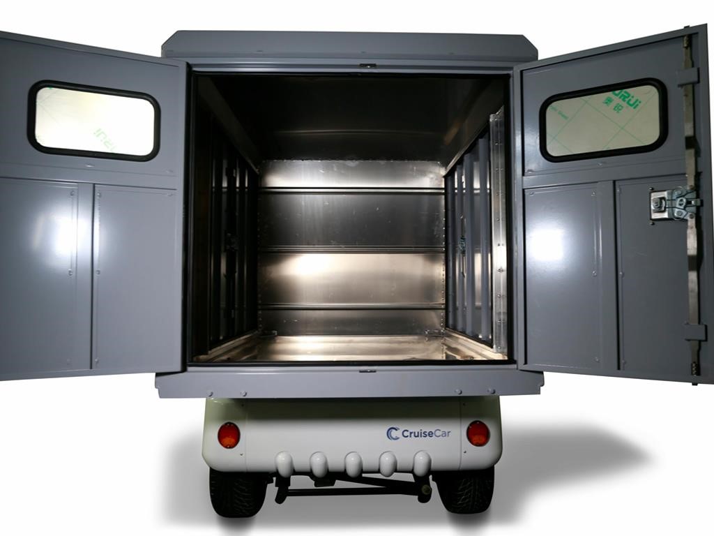 Icon C20V
