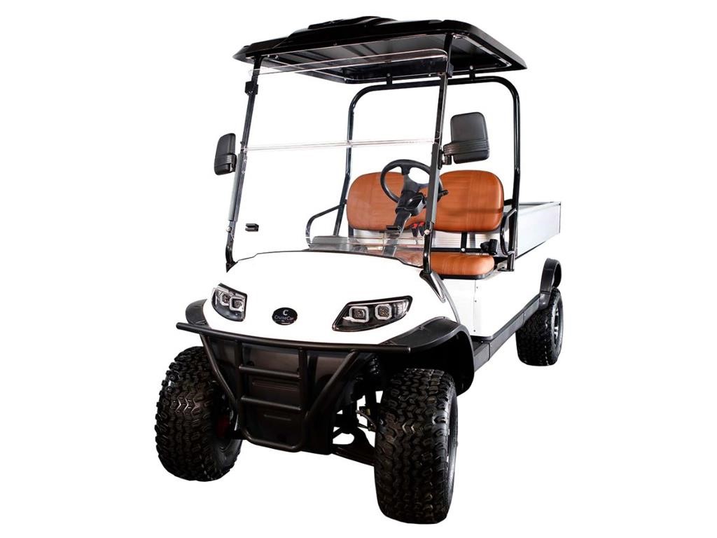 Icon C20UL