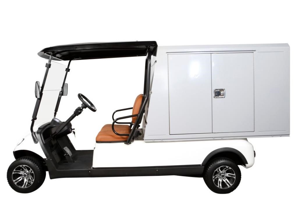 Icon C20V